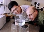 Bubble Discovery May Help with Mixing Non-Soluble Liquids