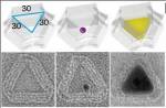 Researchers Cast Inorganic 3D Nanoparticle Structures Using DNA Moulds