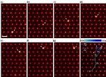 Direct Observation of Atomic Diffusion in Bulk Material