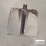 Glass-Coated Silicon Fibres Enable Cheaper Solar Cells