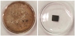 Researchers Solve Mysterious Stability of Graphene Oxide Films Using Basic Chemistry