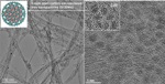 Carbon Nanotube Based Electrocatalyst Makes a Cost-Effective Substitute for Platinum