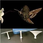 Study of Interactions Between Floral Form and Pollinator Performance Using 3D Printing