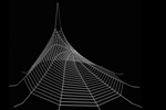 MIT Researchers Explore Spider Silk to Design High Strength Low Density Materials