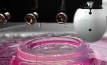 Bioengineers Propose Five Ways to Use 3D Printing