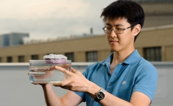 Researchers Design Solar Vapor Generator Using Bubble Wrap