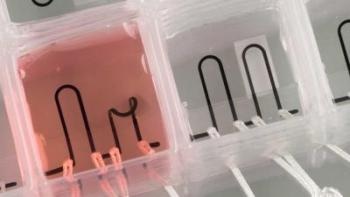 Harvard University Researchers Build First Sensor-Integrated 3D-Printed Organ-on-a-Chip