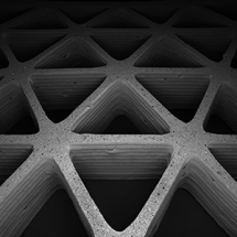 3D Printing Used to Mimic Nature's Cellular Architectures