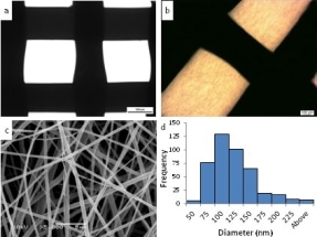 Researchers Combine Two 3D Printable Polymers into Structures Ideal for Regenerative Medicine