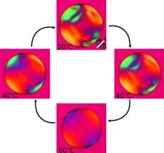 Innovative Technique Causes Liquid Crystals to Develop an Anti-Ordered State