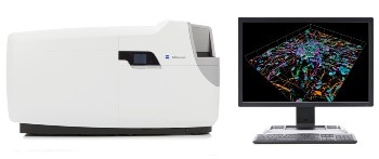 Automated Microscope for Gentle and Fast Confocal 4D Imaging