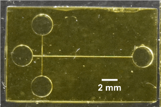 Scientists Design 3D-Printed Microchip Electrophoresis Device for Detecting Preterm Birth Biomarkers