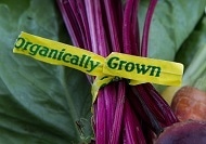 Verifying ‘organic’ Foods