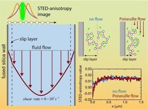 New Insights into Nanoscopic Slip Layers Formed in Flowing Complex Liquids