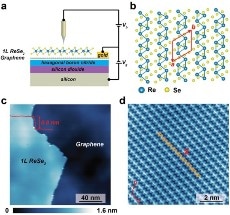 Control of Excitons in a 2D Semiconductor