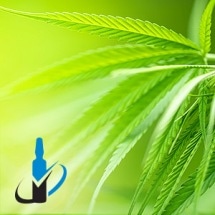 Attain a More-Comprehensive Characterization of Cannabis Samples with Restek’s New Cannabicyclol (CBL) Reference Standard