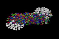 Molecular Dynamics Simulations Show Improvement in Magnesium Ductility