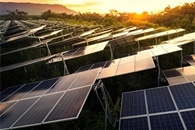 A New Breakthrough in Dye-Sensitized Solar Cells