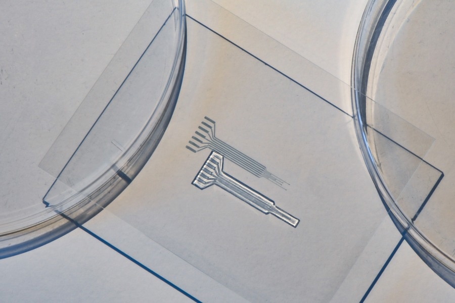 3D Printable High-Performance Conducting Polymer Hydrogel - Vimarsana News