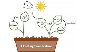 AkzoNobel Unlocks More Sustainable Future for Coatings After Biomass Breakthrough