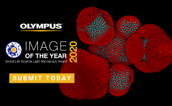 The Art of Science: Olympus Launches Second Global Image of the Year Award