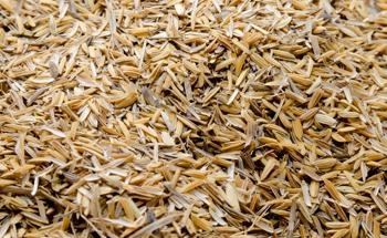 Synthesis of High-Performance Lithium Storage Using Rice-Husks