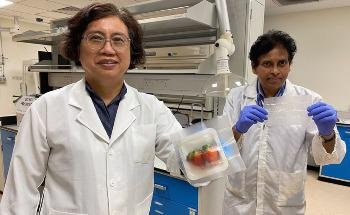 New Smart Food Packaging Material Kills Microbes Harmful to Humans