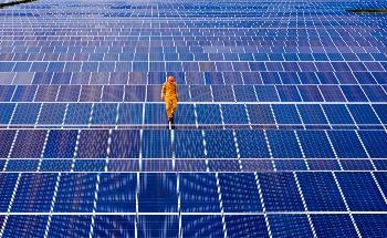 New Perovskite/Organic Tandem Solar Cells Achieve a Power Conversion Efficiency of 23.6%