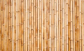 Coating Bamboo to Improve Surface Properties