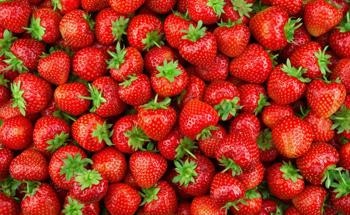 What Happens When We Coat Strawberries with Nanoparticles?