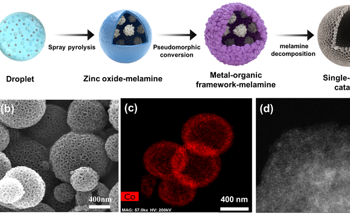 Development of Enhanced Single-Atomic Cobalt-Based Catalyst Using Industrial Humidifier