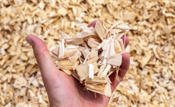 Qualities of Biocomposites with Wood Waste
