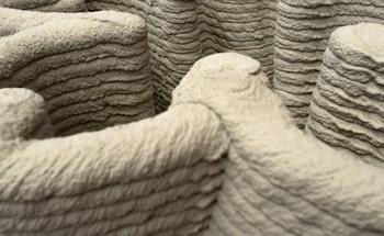 Optimizing the Topology of 3D Printed Concrete for Construction