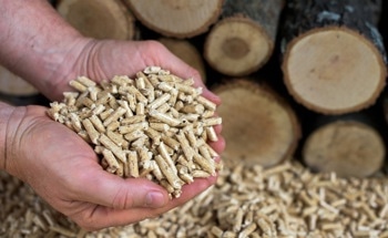 Biocarbon Materials Produced from Wood Pellets
