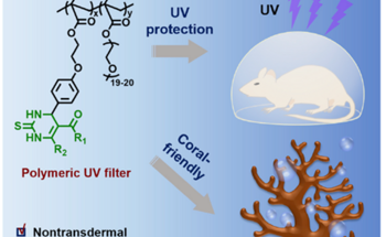 Exploration of a Bio-Friendly and Coral-Friendly Polymeric UV Filter