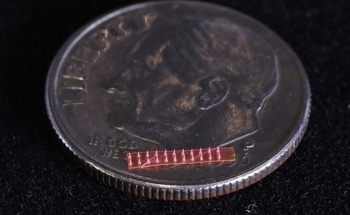 SMART Researchers Develop the World's First Microneedle-Based Drug Delivery Technique for Plants