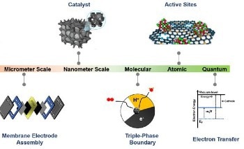 Outlining the Recent Developments of Carbon-Based ORR Catalysts