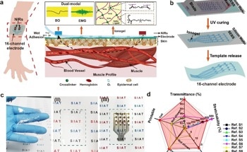 Skin-Adherent Electrodes for Dual-Modal Monitoring of Muscle-Vascular Activity