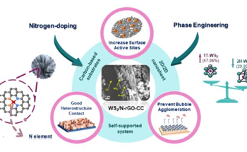 Cost-Effective and Durable Electrocatalyst for Hydrogen Production