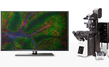 Elevate Your Imaging with New FLUOVIEW™ Laser Scanning Microscope Systems