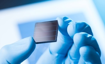 Uncovering the Molecular Secret to Stable Organic Solar Cells
