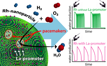 The Real-Time Working Principle of Promoters in a Catalytic Reaction