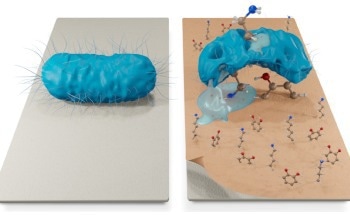 Bioinspired Protection of Sanitary Fabrics from Infections