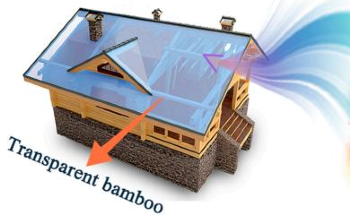 Flame-Retardant Transparent Bamboo Outperforms Silica Glass