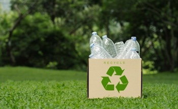 Upcycling LDPE: Transforming Plastic Waste into High-Value Graphite