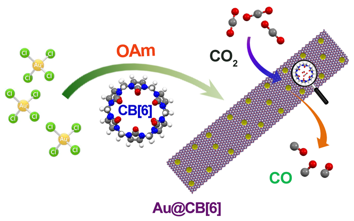 Au-Based Hybrid Nanomaterial Displays Optimal Selectivity for CO - Vimarsana News