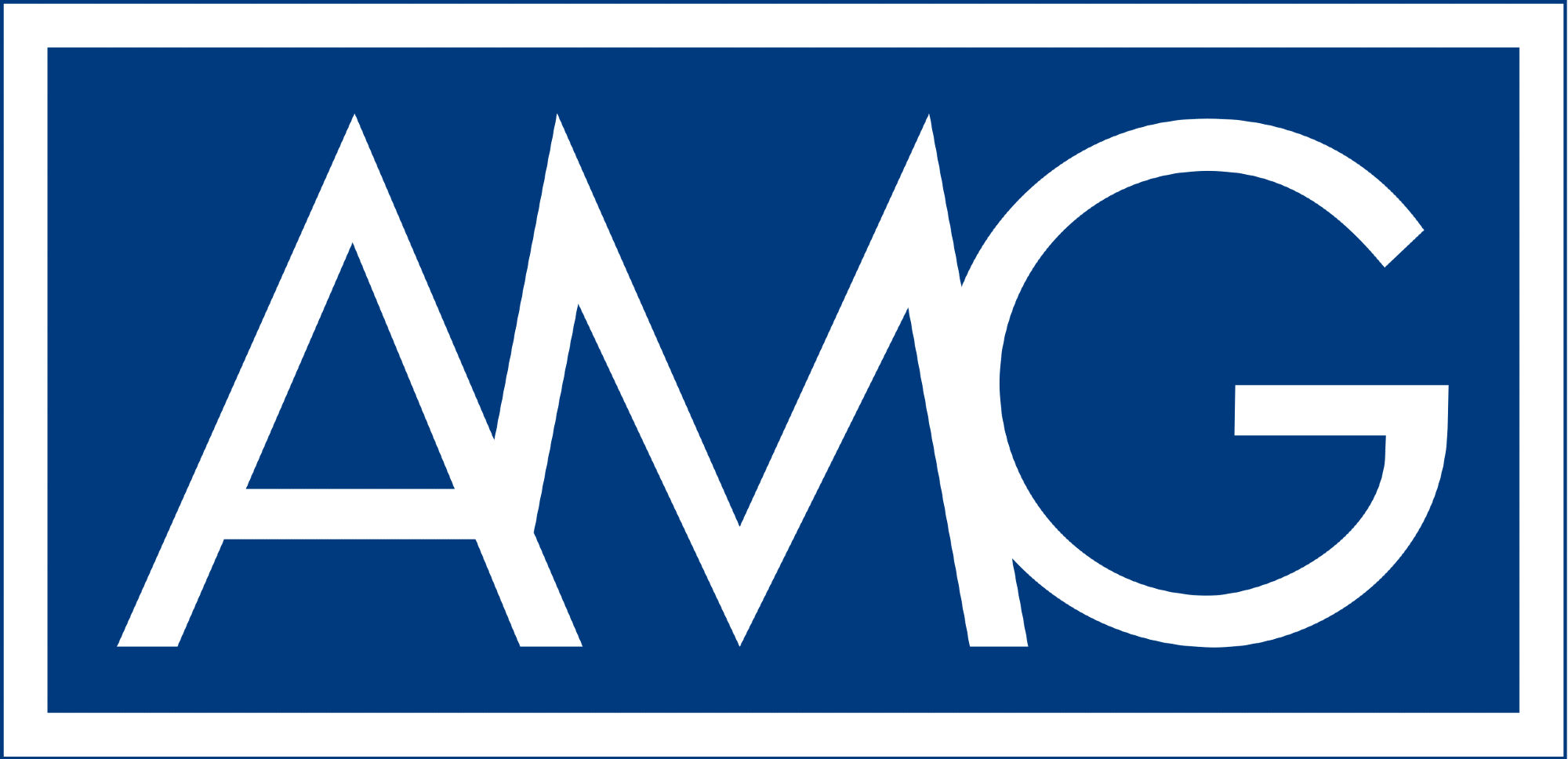 AMG Advanced Metallurgical Group N.V.