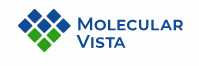 Molecular Vista logo.