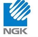 NGK Insulators, Ltd