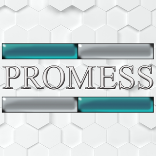 Promess Inc